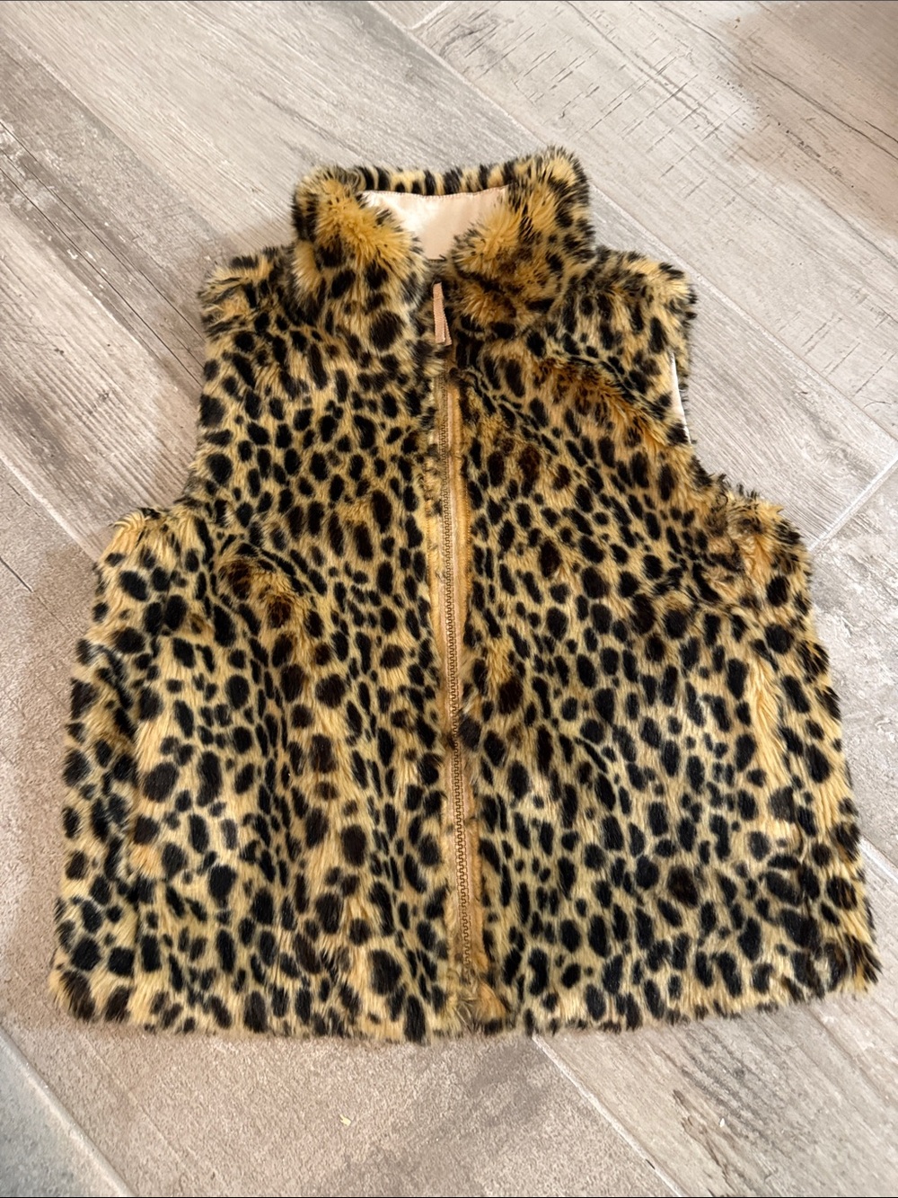 Crewcuts Satin-Lined Jacket in Champagne and Leopard Trim